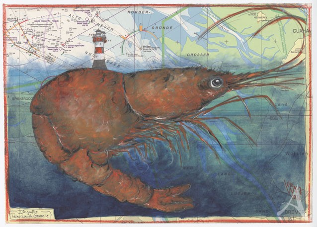 Zeichnung "Die große Roter Sand Garnele", ca. 30 x 40cm - OLE WEST - UNIKAT