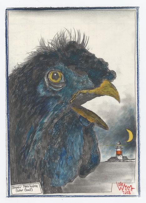Original Zeichnung "Blauer Meerhahn" von Ole West