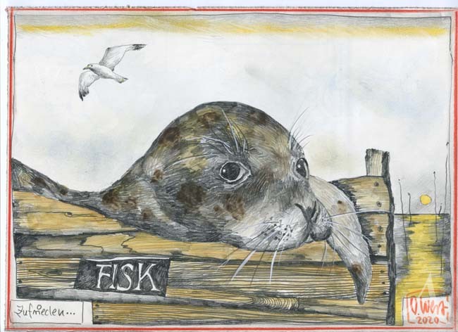 Kunstdruck "Zufrieden" Robbe / Seehund - von OLE WEST
