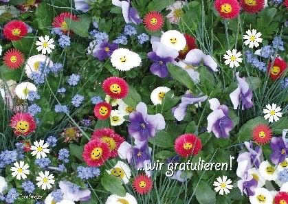 Postkarte "...wir gratulieren"