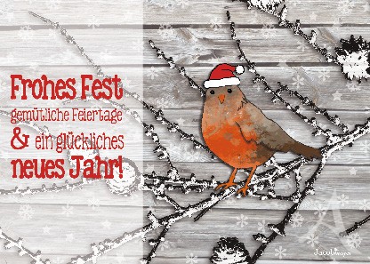 Postkarte "Frohes Fest (Rotkehlchen)"