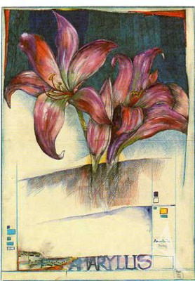 Postkarte "Amaryllis"