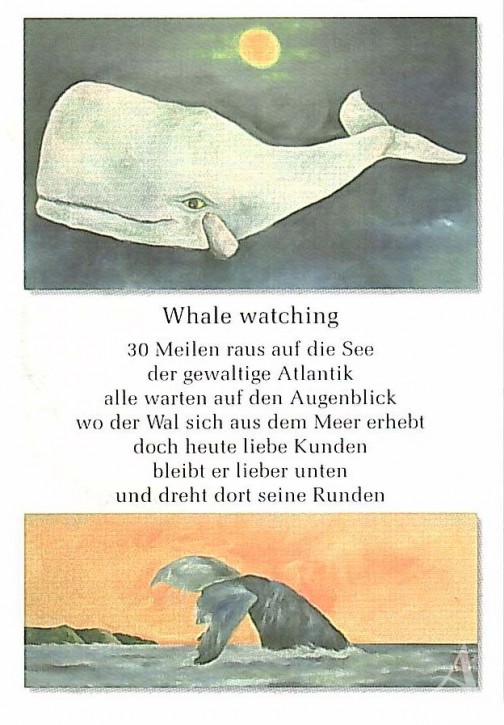 Postkarte "Whale watching"